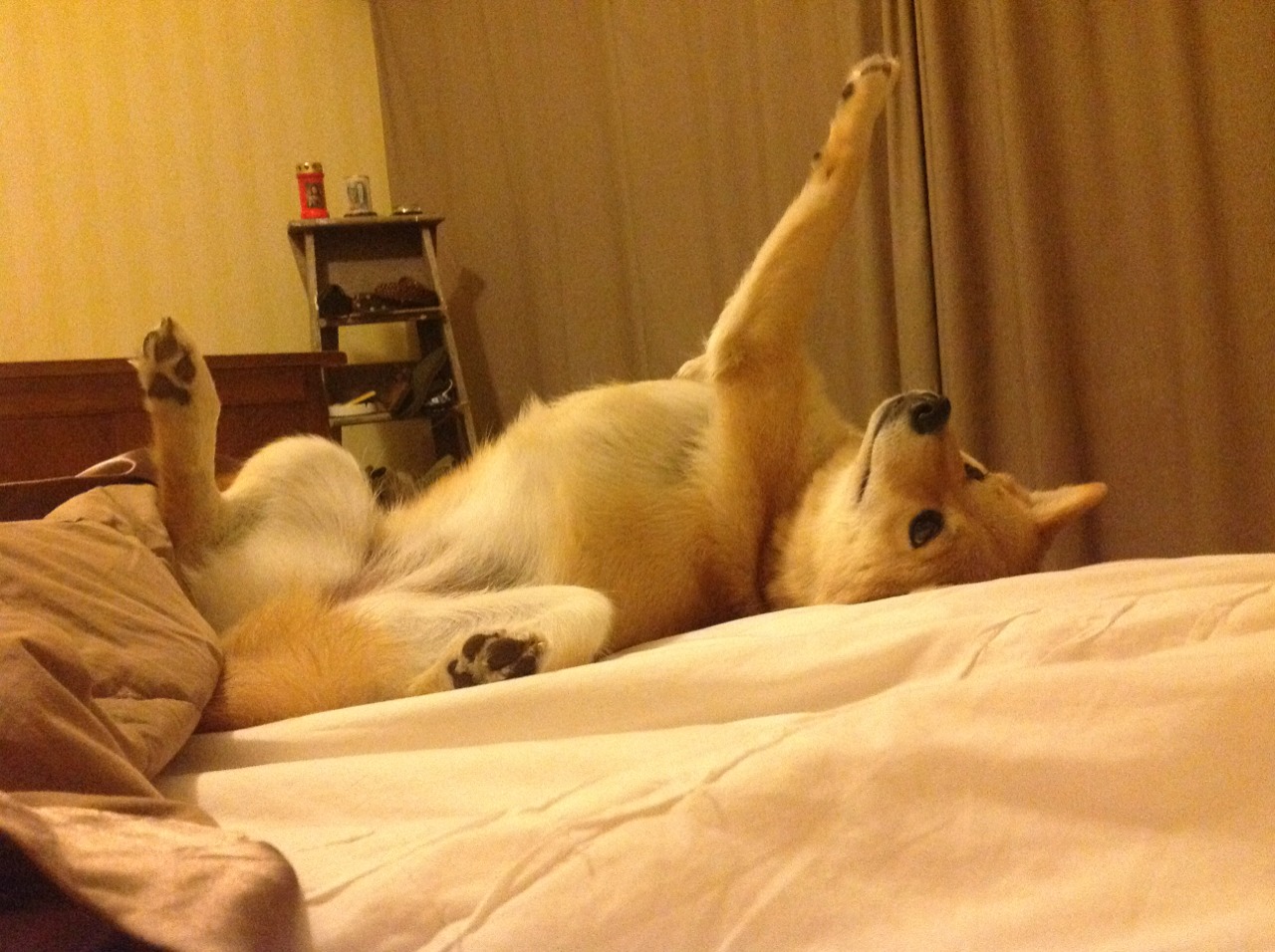 “中国女足签约国内外赞助商,助推体育产业发展”,中国女足代言