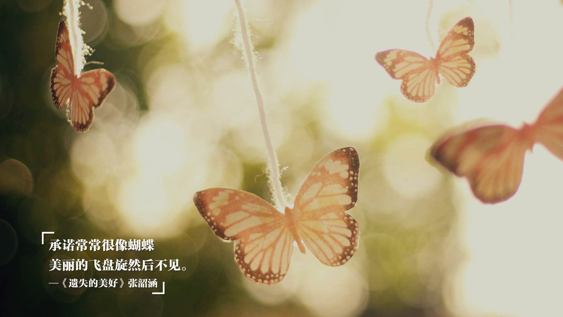 “天灾挑战：暴雨雪雹中的赛场勇士”，雪暴灾害