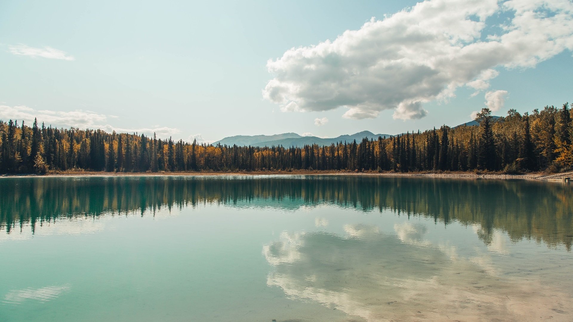 “意甲豪门拼抢,欧冠入场券暗潮涌动”,欧冠意甲球队