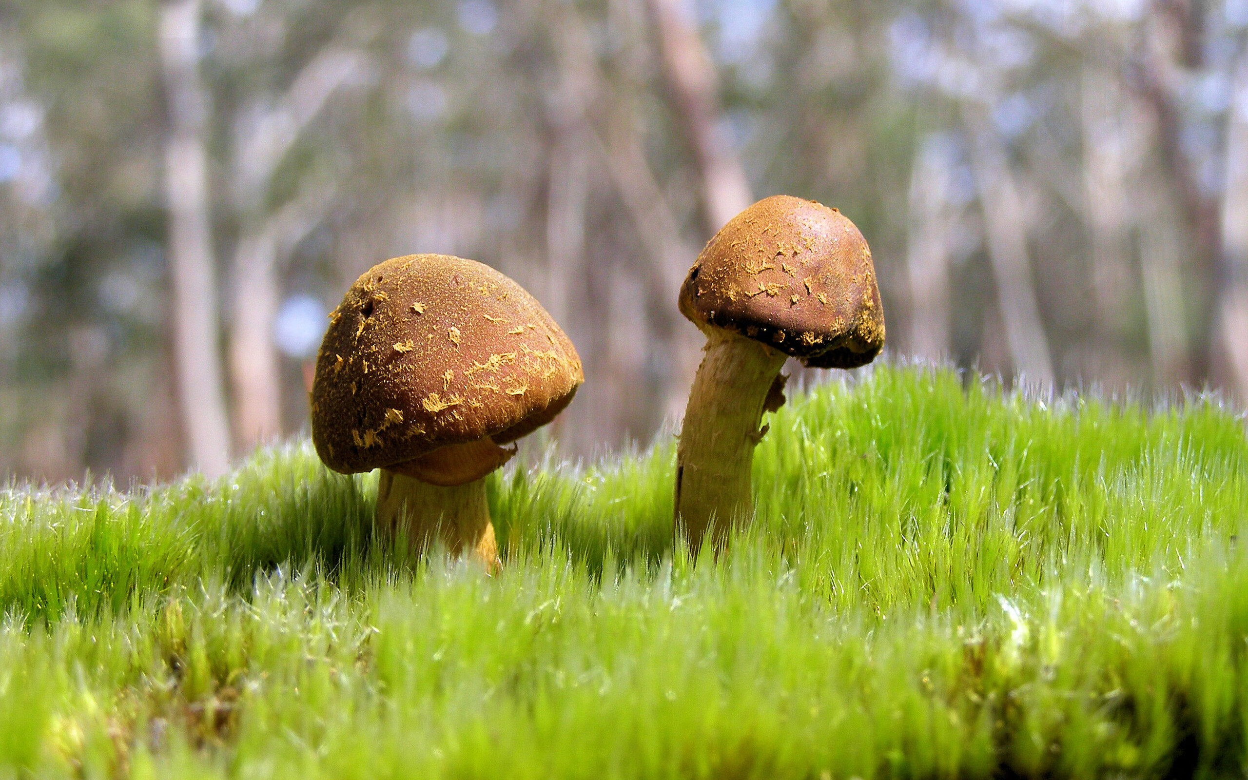 【战术革新】新规则下球队如何调整战术布局,球员布置战术