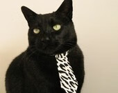 克罗地亚马术协会推出青少年马术培训计划，培养未来骑手。，克罗地亚 马耳他