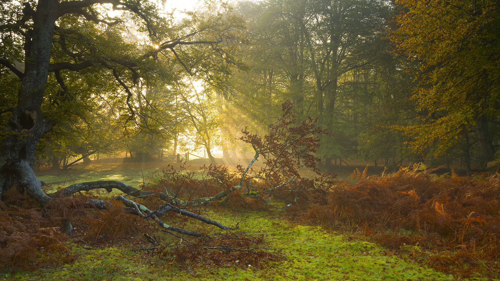 升班马雷恩状态火热,冲击前列,马雷的实力