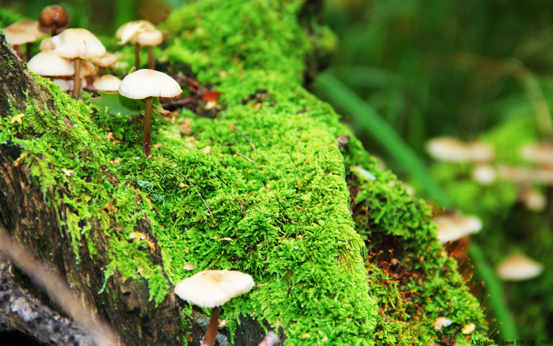 九游娱乐官网 (jiuyou)-“未来之星”青少年篮球明星专项评选在广州持续刷屏，发掘潜力新秀