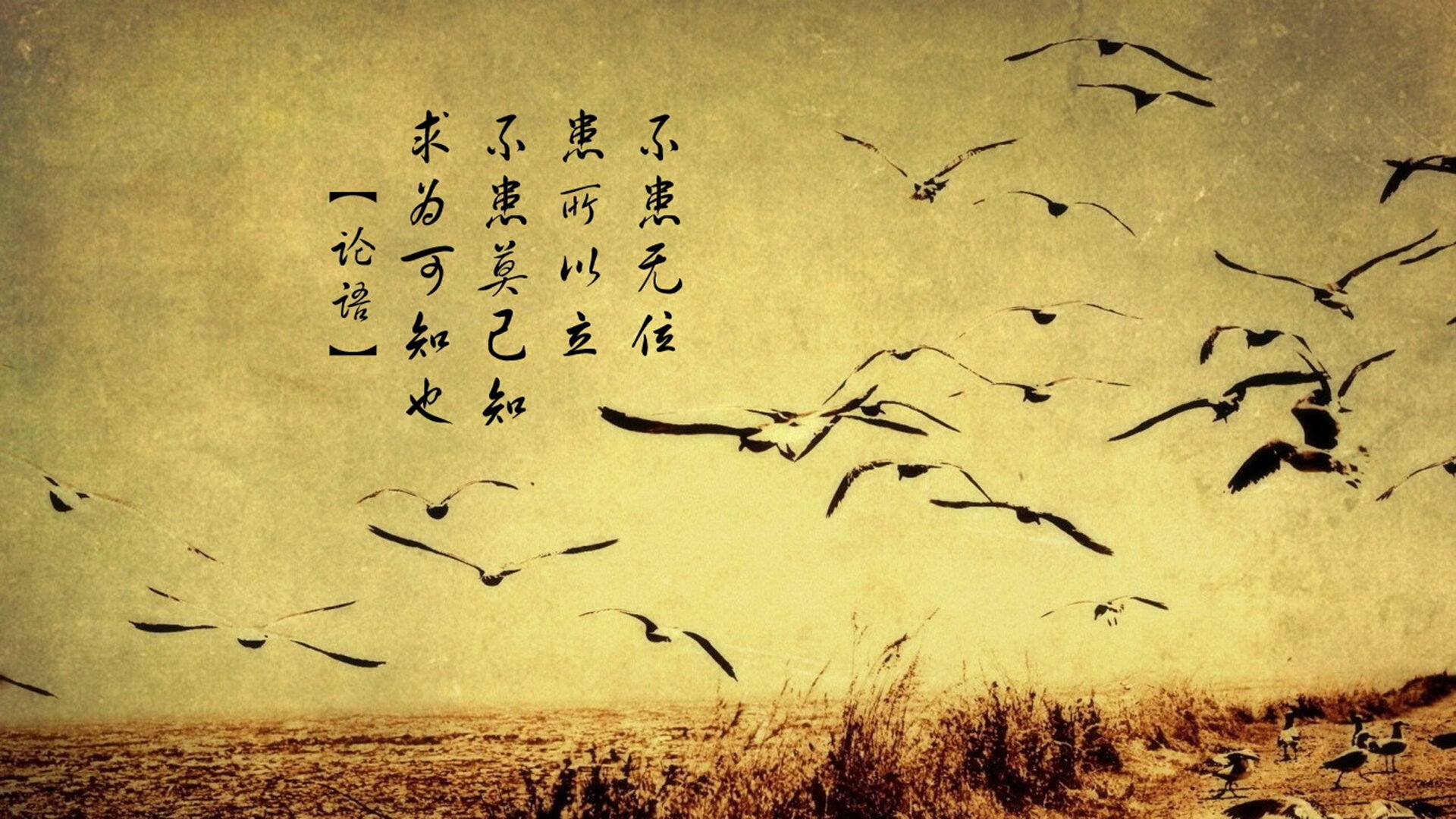 “泥泞激战:雨后泥地上的疯狂追逐”,泥泞的雨天