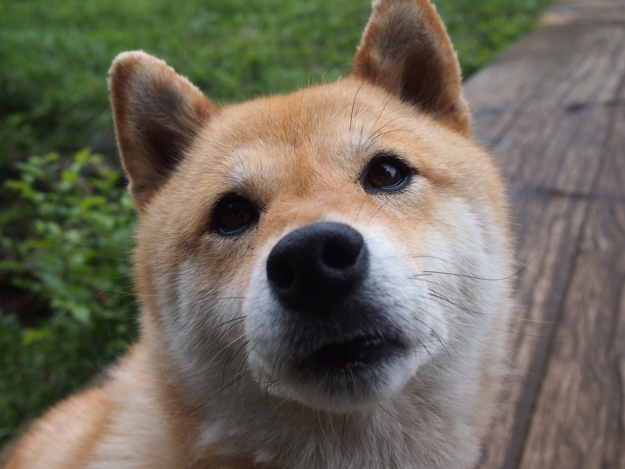 “泥泞火花:雨后赛道的疯狂对决”,雨后泥泞的路