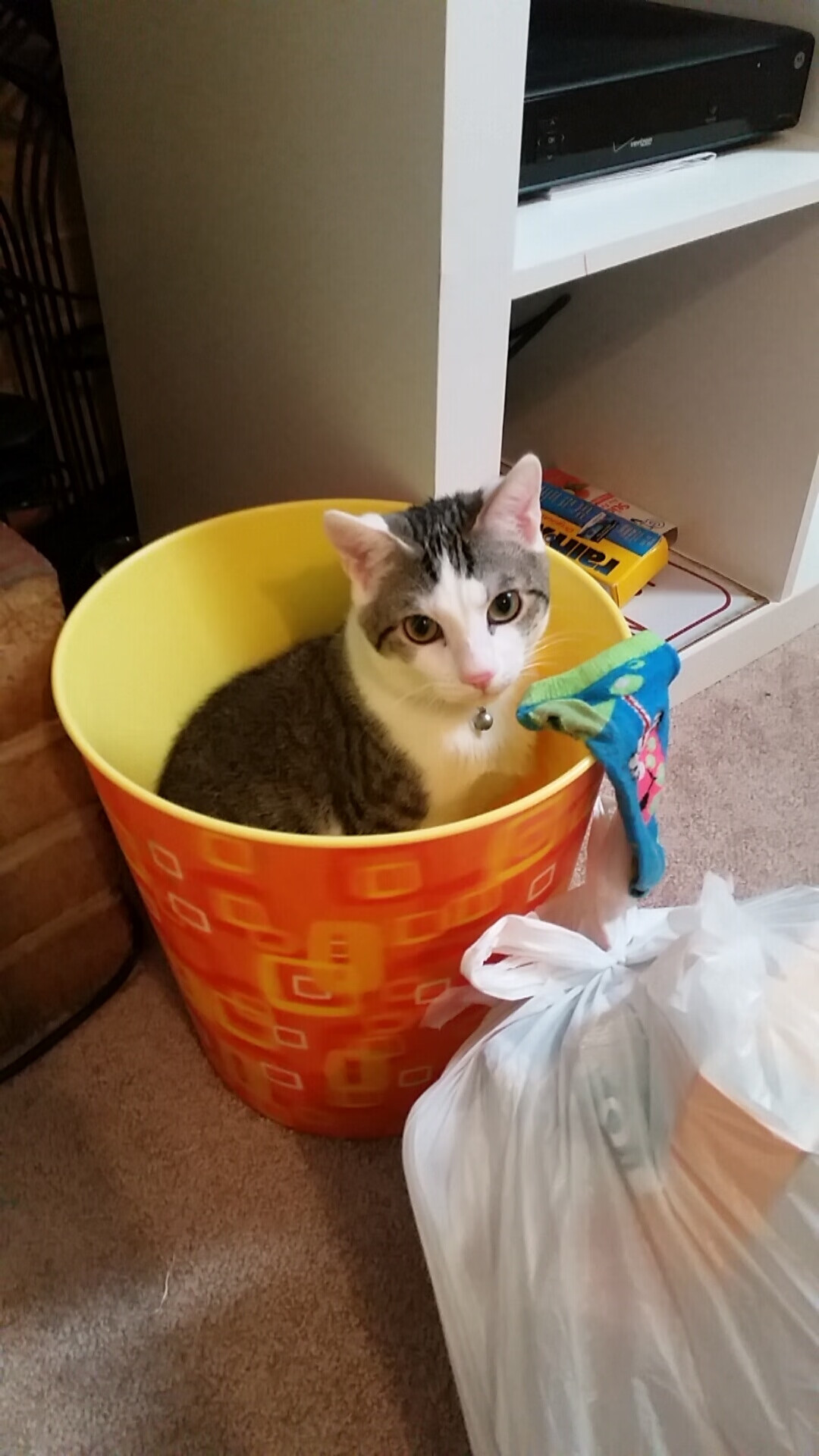 九游娱乐官网 (jiuyou)-“英超联盟火力全开，争夺榜首越发激烈”，英超联盟官网