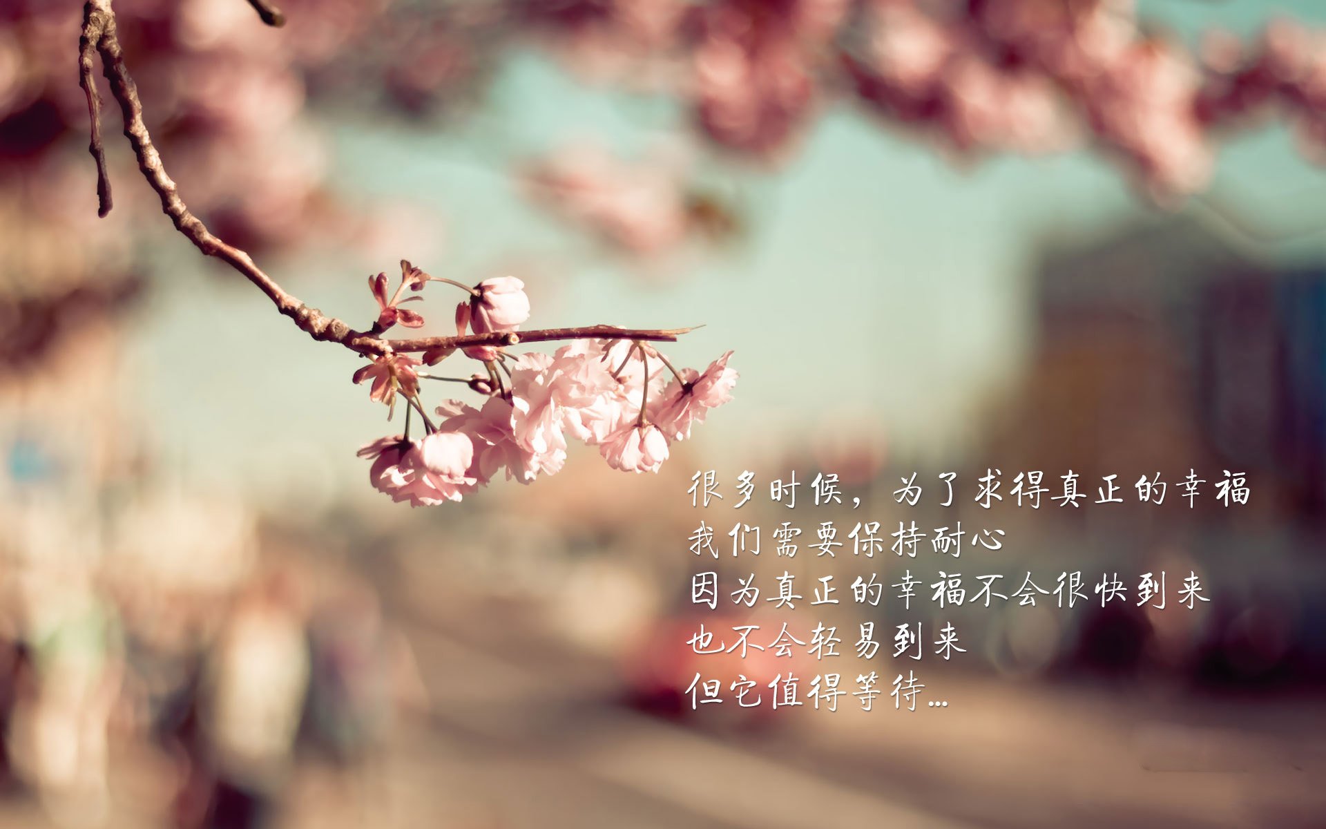 九游娱乐官网 (JIUYOU)-“青少年足球合作联盟推动全国联赛，打造优质青训体系”，青少年足球超级联赛