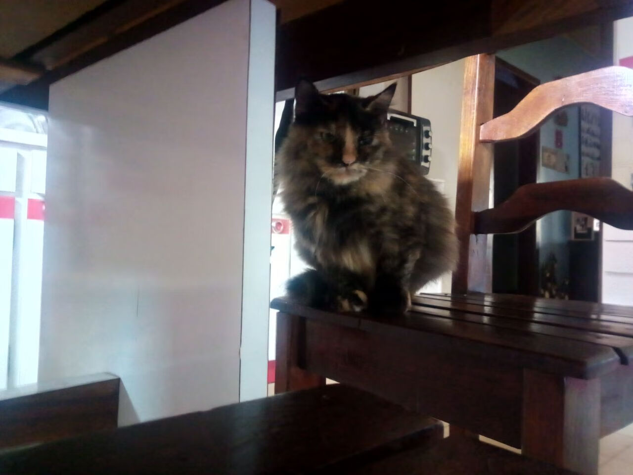 九游网页版入口-《Valorant北美夏季赛，300英雄战队势不可挡》，valorant北美比赛