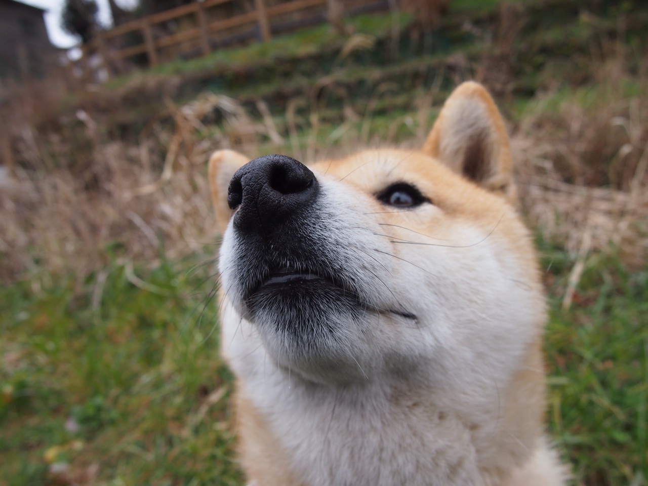 【创新赛事】虚拟现实与棒球的结合，虚拟现实比赛作品