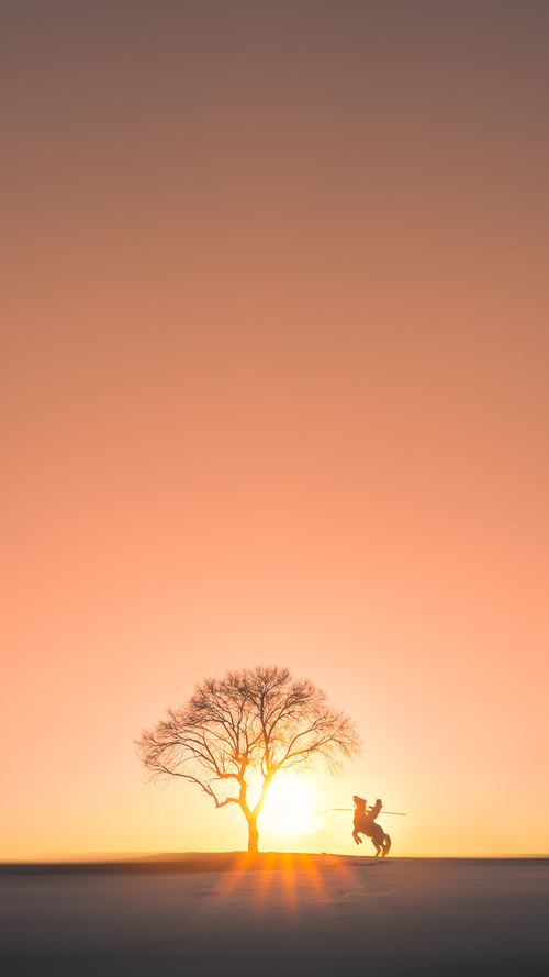 九游登录中心-【洋基的防守大提振】新策略让失误大减少，什么是洋基队