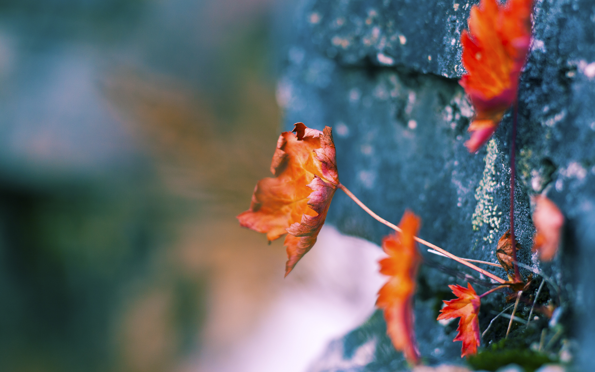 中国篮球运动员心理健康支持体系建设,篮球心里训练的重要性