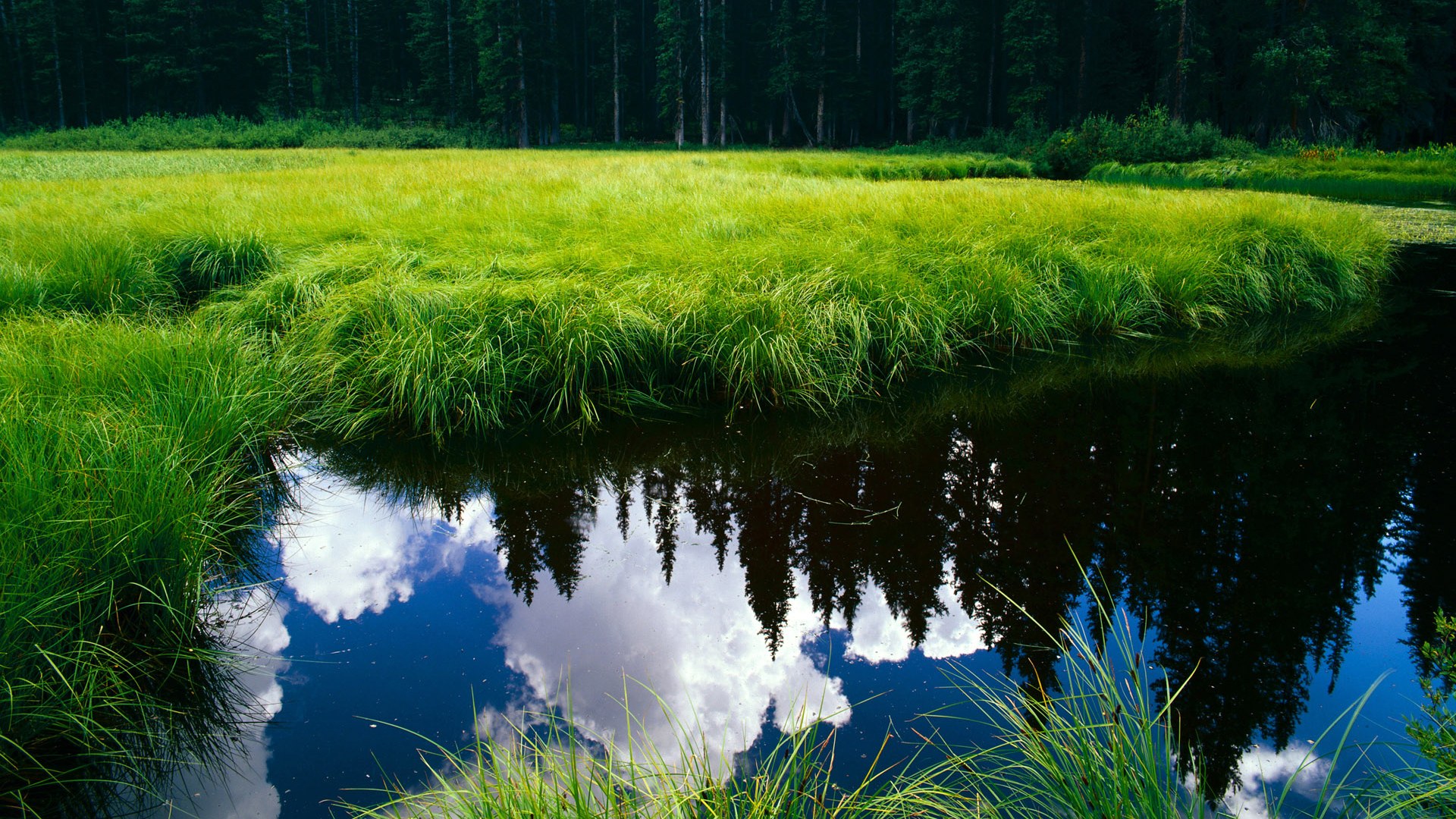 JiuyouAPP下载-中国足球各级联赛电视转播质量提升，国内足球节目
