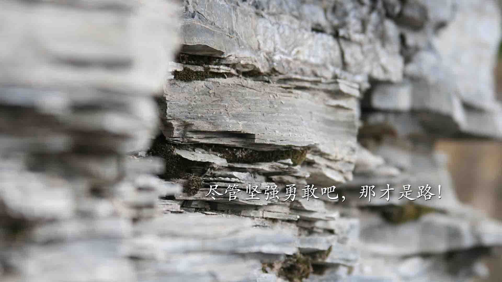 中国足球推动“足球+”多元融合发展战略,中国足球发展面临的机遇与挑战