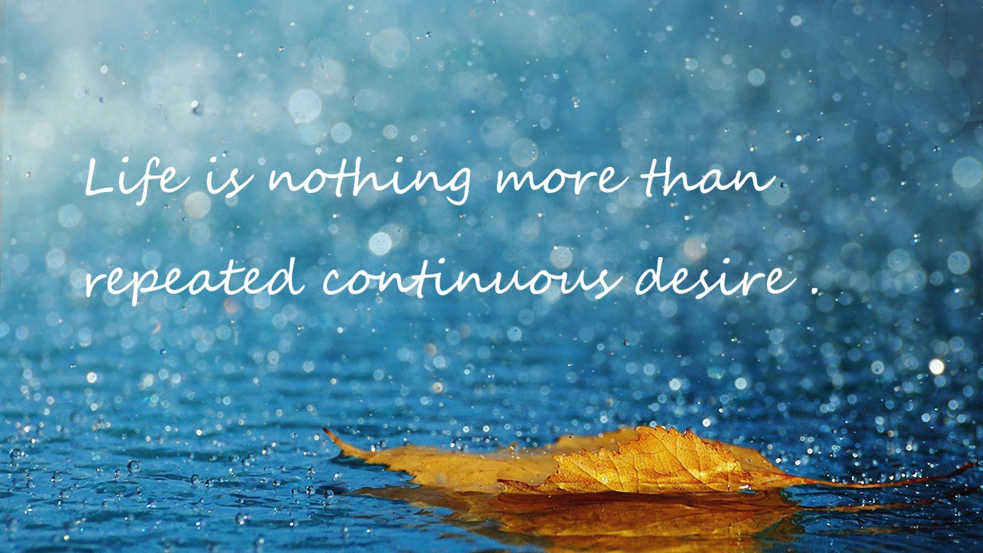 克罗地亚骑手马特·布尼奇在2024年国际马术联合会世界障碍赛中以“Mister Cool”马匹获得第七名，表现出色。