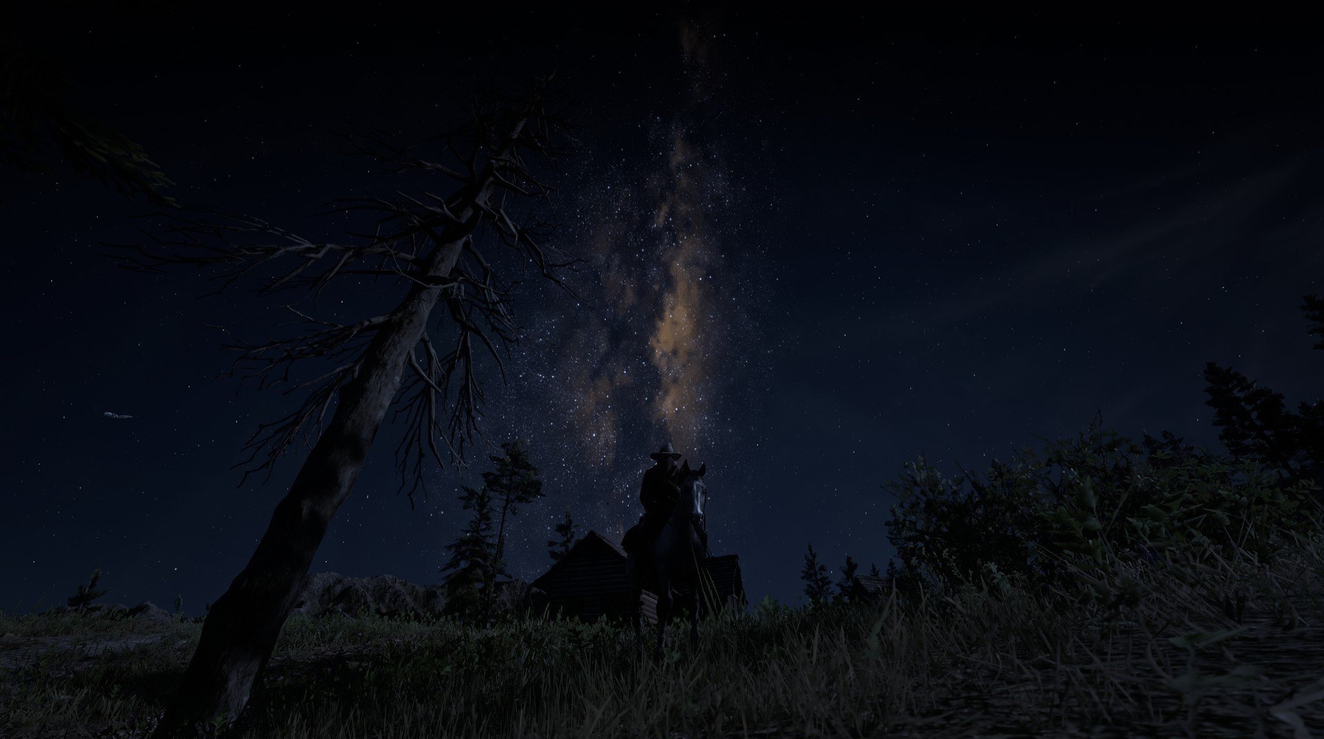 全国中小学体育运动会开幕，百校齐聚竞技场，全国中小学体育比赛