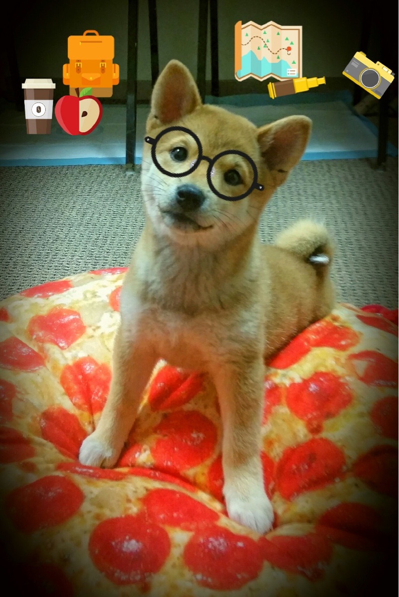 公益球星：多位NBA巨星用行动开启社会正能量，nba球星慈善