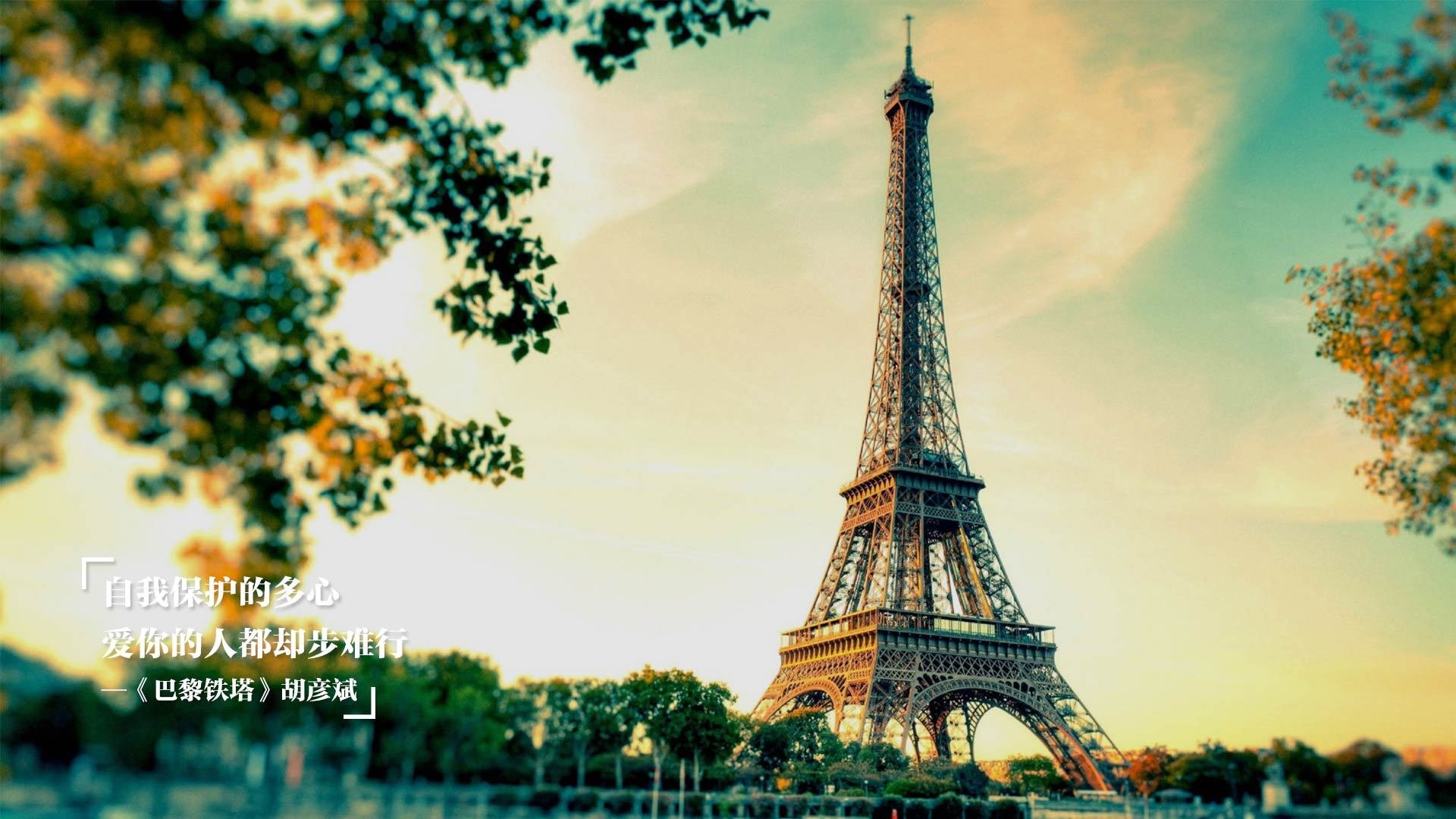 勒沃库森2-2沃尔夫斯堡，特拉普和赫尔佐格各入一球，勒沃库森 沃尔夫斯堡