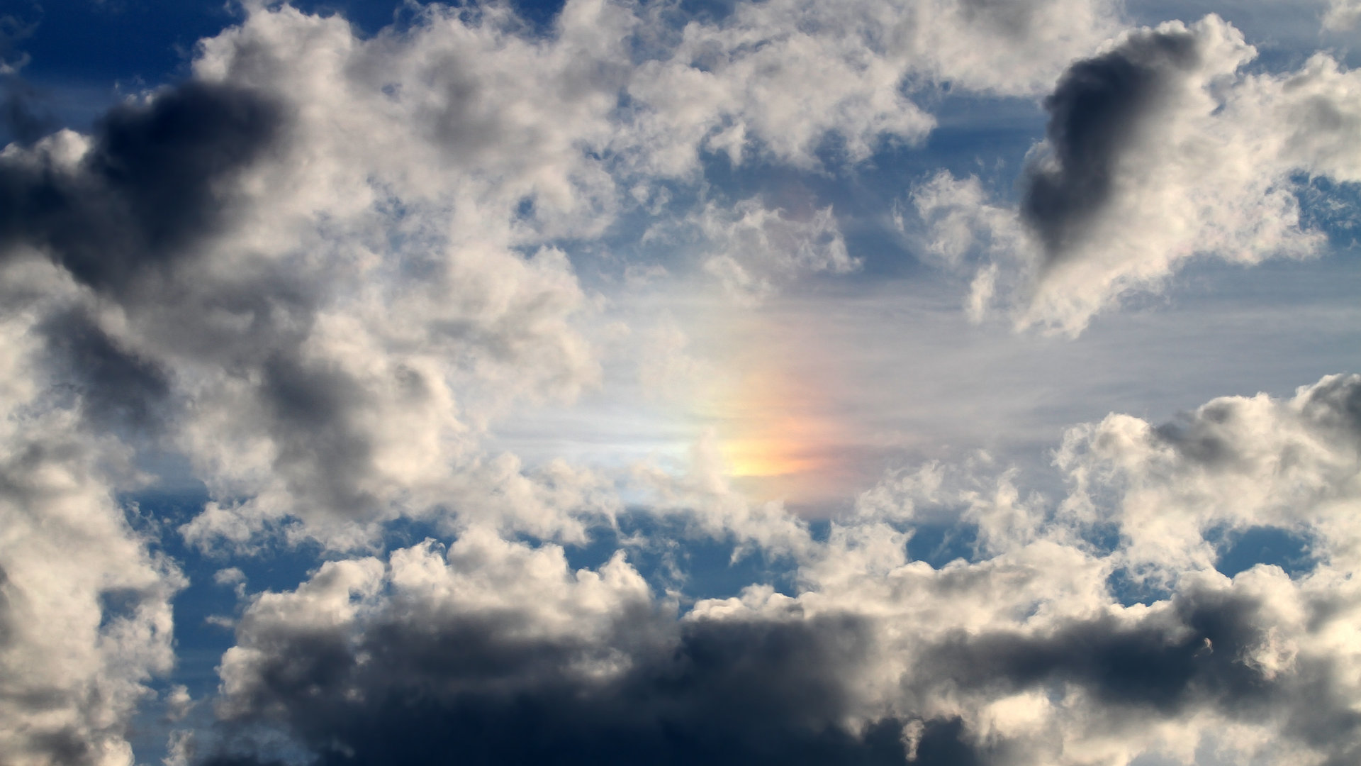 九游游戏中心官网-升班马雷恩火力全开，为保级努力，马里恩雷诺