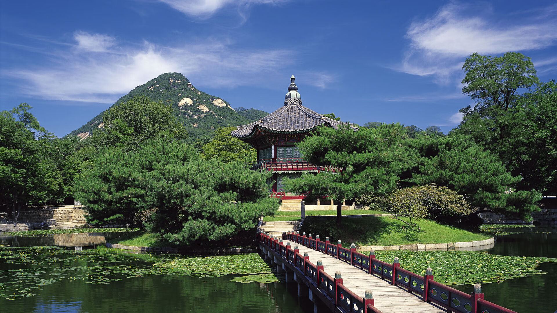 哥伦比亚马术协会推出马匹健康管理系统，提升马匹福利。，哥伦比亚亚马孙