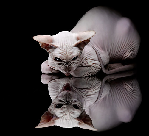 九游下载中心-国际合作新潮流：跨国比赛与交流推动行业全球化，国际跨国合作案例